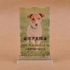 Pet&Love. ペットのお墓 ガラス製 お客様のペット写真刻印 オーダーメイド メッセージ変更可能 タイプ2　SSサイズ　高さ15cm　全体カラ