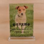 Pet&Love. ペットのお墓 ガラス製 お客様のペット写真刻印 オーダーメイド メッセージ変更可能 タイプ2　LLLサイズ　高さ31cm 全体カ