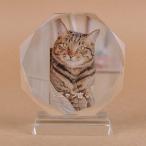 Pet&Love. ペットのお墓 ガラス製 お客様のペット写真刻印 オーダーメイド メッセージ変更可能 円形タイプ　猫モデル　Sサイズ　高さ12cm