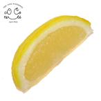 Yahoo! Yahoo!ショッピング(ヤフー ショッピング)食品サンプル 食べちゃいそうな レモン くし切り マグネット