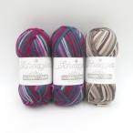  шерсть Scheepjes Shape i.sDOWNTOWN 3 шар комплект 408 номер цвет 416 номер цвет 50g шар 200m многоцветный sokya-n не использовался товар 