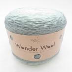 Yuzawayayu The waya шерсть Wonder Wool wonder шерсть цвет номер 14 1 шар 150g 375m градация зеленый оттенок белого не использовался товар [ б/у ]