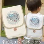 ベビーリュック 名入れ 1歳 誕生日 出産祝い 入園祝い 通園 名前入り 一升餅リュック 帆布 プレゼント ギフト 航空自衛隊 戦闘機 F-15 イーグル
