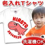 ���O���� T�V���c �q�� �o�Y�j�� ������ �L�b�Y �a���� �M�t�g �v���[���g �x�r�[ ���� ���� �f�U�C�� �e�B���m�T�E���X ���[���� �Z�� �o�� ������
