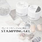 スタンプネイル専用ジェル スタンパーセット アート用ジェル マットカラー モノクロ スタンピングネイル スタンプ 国産　化粧品登録済み くっきり色が発色