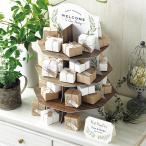 スモールガーデン （ポップコーン） 48個セット プチギフト 【CIH】 卒業 卒園 退職 個包装 結婚式 ホワイトデー お返し 小学生 子供 キラット