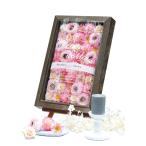 �E�F���J���t���[�� �t���[�c�[���[ 40�Z�b�g �yCIH�z�y�Z�b�g�z�v�`�M�t�g ������ �E�F�f�B���O ������� �ސE  �L���b�g