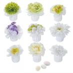  Blanc * Blanc маленький подарок [hearty][20 шт. комплект ] одиночный товар . работа свадьба Рождество Новый год . новогоднее поздравление 2026 год рождение .. беспокойство стал - -ti