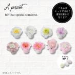 ma*sheli маленький подарок [hearty][20 шт. комплект ]. работа свадьба подарок на Bon Festival День почитания пожилых людей .. подарок на Bon Festival День почитания пожилых людей ответ ученик начальной школы ребенок - -ti