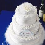  snow * драгоценности do радиоконтроллер .60 шт. комплект маленький подарок [hearty]. работа свадьба рождение .. беспокойство стал спасибо - -ti