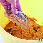 Yahoo! Yahoo!ショッピング(ヤフー ショッピング)琵琶湖産天然「鮒寿し（粕漬・スライス）5切×5パック・化粧箱入」 クール商品 【薫彩堂】 ※
