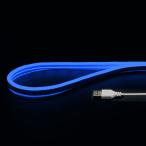 JTT（日本トラストテクノロジー）:USBネオンチューブライト 1m　ブルー NEONLT1M-BL