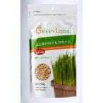 eimklieitsuGEEN Labo Dog & Cat Grass Seeds собака . кошка . нравится ... tane200g 4540013200029