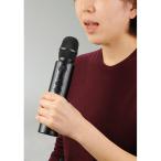 アーテック 拡声器付きマイク 52313