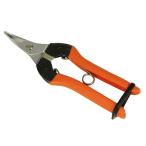 [ почтовая доставка бесплатная доставка ] кактус .. ножницы большой искривление лезвие AG-1 4976365201016