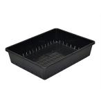  Apple одежда - выращивание рассады container 12 type черный 4905980397088