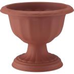  Apple одежда -: Queen cup 28 type Brown 4905980112629 декоративное растение горшок 
