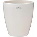  Apple одежда -: luster pot 225 type белый 4905980123168 горшок горшок покрытие цветочный горшок pra горшок pot простой белый декоративное растение 