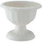  Apple одежда -: Queen cup 28 type белый 4905980112612 декоративное растение горшок 