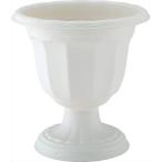  Apple одежда -: Queen cup D-28 type белый 4905980112711 горшок ivy зеленый колье 