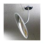  доверие . предмет производство : круглый 310φ H-30( производитель прямая поставка товар ) quotient индустрия объект внутри предотвращение преступления зеркало 4953120015576