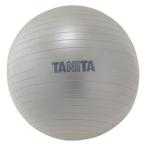 TANITA(タニタ):ジムボール シルバー TS962SV TANITA 体幹 バランス エクササイズ インナーマッスル 健康グッズ 介護用品