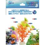 ma LUKA nruminas растения S-3 4975637511228