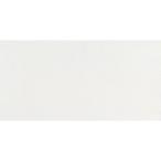 シンワ測定:スチールシート 10×20cm 0.2mm厚 2枚入 粘着剤付 72200 測る 計測 新潟 ペンギン