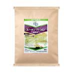 (あすつく) バイエル クロップサイエンス:ルーチンアドスピノ箱粒剤 9kg 4907864005638 育苗箱専用 殺虫殺菌剤 BAYER