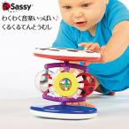 Sassy ファッシネーション ロール アラウンド知育玩具 誕生日プレゼント 知育 赤ちゃん ベビー 出産祝い 子ども おもちゃ オモチャ 玩具 子供 キッズ ギフト