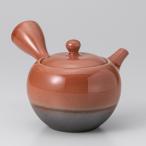 和食器常滑焼美味しいお茶赤鉄釉小丸...