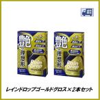 （新商品 / 送料無料） ソフト99 レインドロップゴールドグロス 400ml ×2本セット SOFT99 ココバリュー