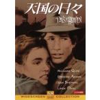  небо страна. ежедневно прокат б/у DVD кейс нет 