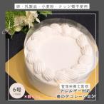 卵 乳製品 小麦 ナッツ類不使用 6号 