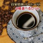 お試し コーヒー豆 送料無料 選べる