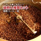 お試し ポイント消化 コーヒー豆 送料無料 焙煎人推奨セット コロンビア/スペシャルブレンド/ハイブレンド 各100g 日時指定できません