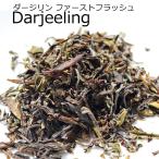 希少！紅茶の最高峰 ダージリン・ファーストフラッシュ　希少！春摘みダージリン　10g袋入り　gd-dj9