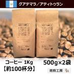 コーヒー豆 パンポヒラ農園 グァテマラ・アティトラン500g×2袋/豆のまま限定 スペシャルティコーヒー