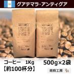 コーヒー豆 1kg グァテマラアンティグア／単一農園