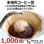 最上級キリマンジャロコーヒー豆　本格的風味をお試し　ブレンド無し 75g×1袋　豆のまま限定　【kibo】