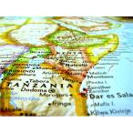 送料無料 コーヒー豆 キリマンジャロ 200g メール便 上品な酸味と黒糖のような甘い香り  タンザニア・AA(キリマンジャロ)