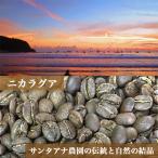 Yahoo! Yahoo!ショッピング(ヤフー ショッピング)コーヒー豆　ニカラグア　サンタアナ農園　中煎り　１００g　自家焙煎