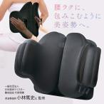 コジット ボディカルテ 腰楽座サポートプレート - 最安値・価格比較