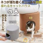 椅子 ペットハウス イス ペット用 家 遊び場 猫 犬 イヌ ネコ 小動物 座れるキャットハウス コジット 送料無料