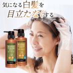 白髪染めシャンプー 女性 男性 メンズ レディース Mottoボタニカラーシャンプー トリートメント ポンプ式 単品 [コジット]