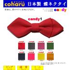 蝶ネクタイ ボウタイ bowtie 子供  メンズ キッズ