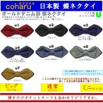 蝶ネクタイ ボウタイ bowtie メンズ 子供 キッズ