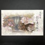  Sakura. в соответствии выпадение эпоха Heisei 25 год деньги комплект небо. река (2013 год ) оригинальный серебряный медаль ввод памятная монета памятная монета структура . отдел мята комплект 