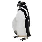 ハンサ【ＨＡＮＳＡ】ぬいぐるみ マゼランペンギン63 オーストラリア ブランド hansa かわいい 映える 開店祝い 内祝い 誕生日祝い