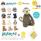 ぬいぐるみ jellycat ラージサイズ ペチャット 付 セット